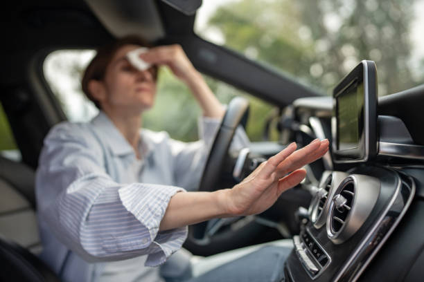 Best Air Conditioning Cleaning in Bithlo, FL